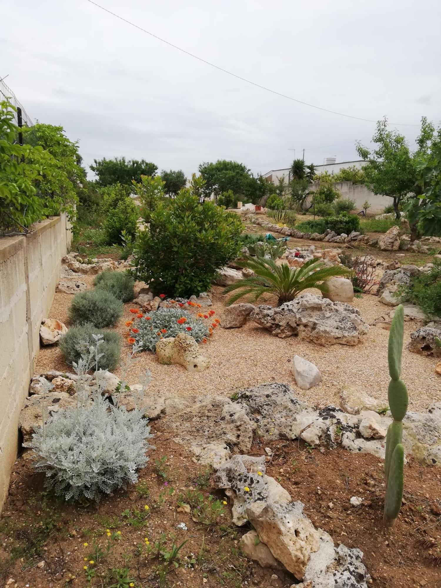 توريه أوفو B&B Bianco Mediterraneo المظهر الخارجي الصورة